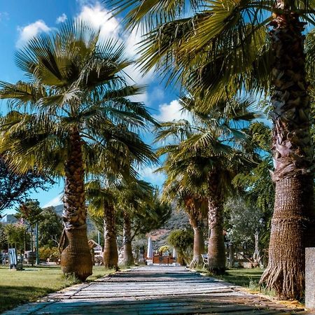 Hotel Rural Finca La Herencia Guadalcanal エクステリア 写真